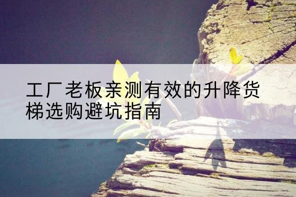 李沧升降货梯怎么选-工厂老板亲测有效的升降货梯选购避坑指南