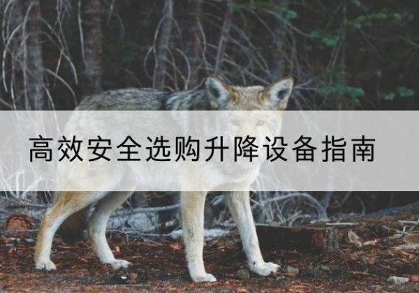 李沧升降货梯厂家推荐-*安全选购升降设备指南