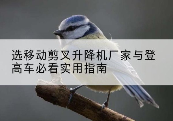 李沧电动升降机厂家-选移动剪叉升降机厂家与登高车必看实用指南