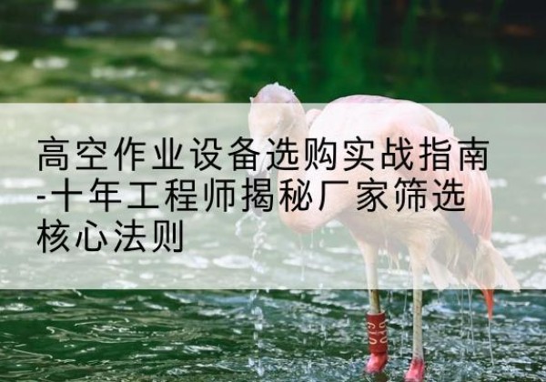 李沧剪叉式升降机厂家-高空作业设备选购实战指南-十年工程师揭秘厂家筛选核心法则