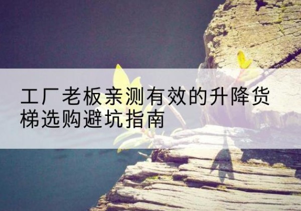 李沧升降货梯怎么选-工厂老板亲测有效的升降货梯选购避坑指南